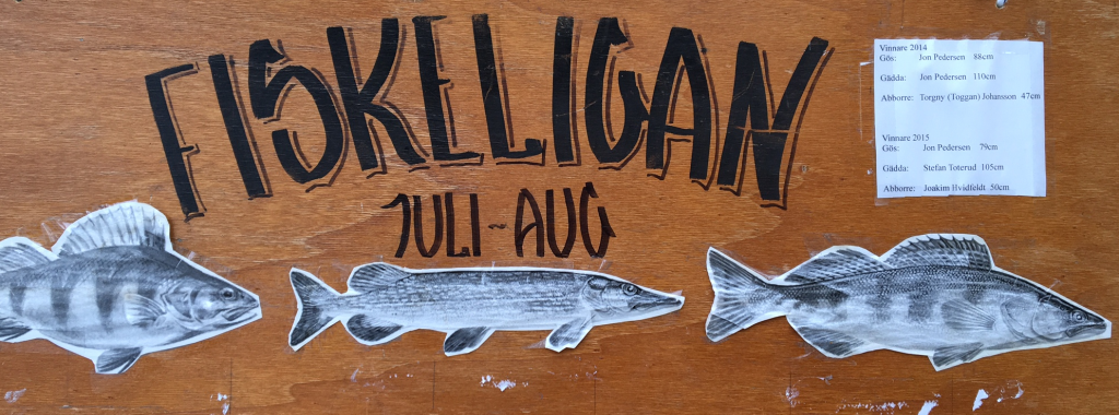 Fiskeligan 2016 2